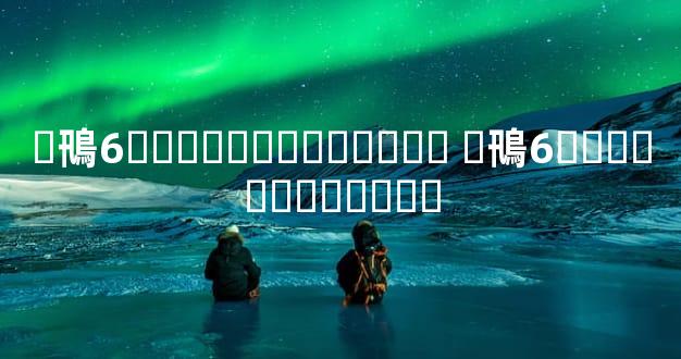 �鳵6��������Ӱ���� �鳵6������������